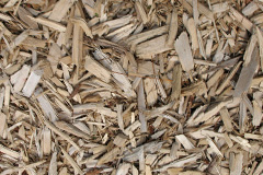 biomass boilers Tungate